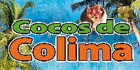 mix_cocos de colima - 2x1mts.jpg